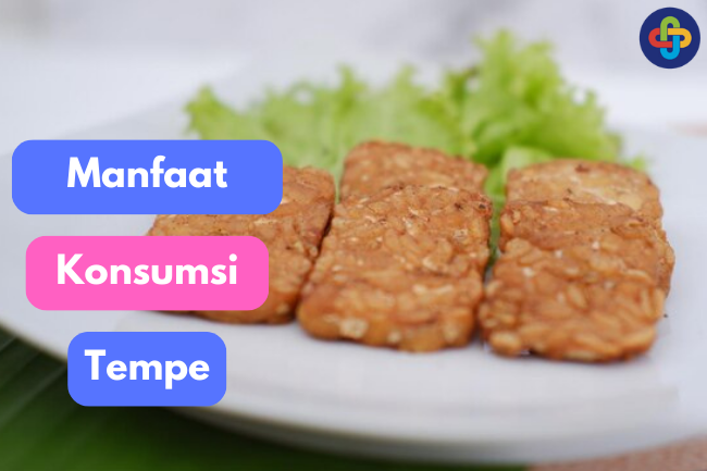 Kaya Akan Nutrisi, Ini 7 Kandungan Gizi Pada Tempe