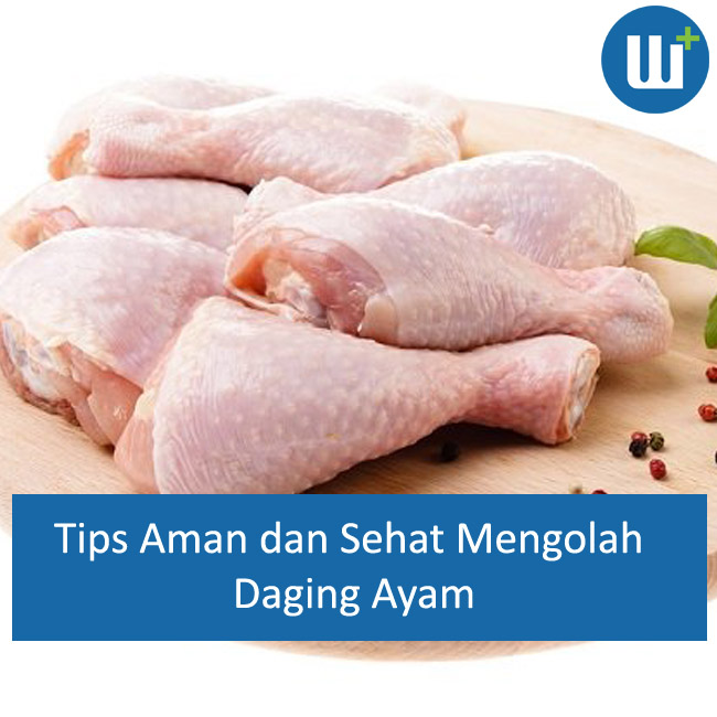 Tips Aman Mengolah Daging Ayam