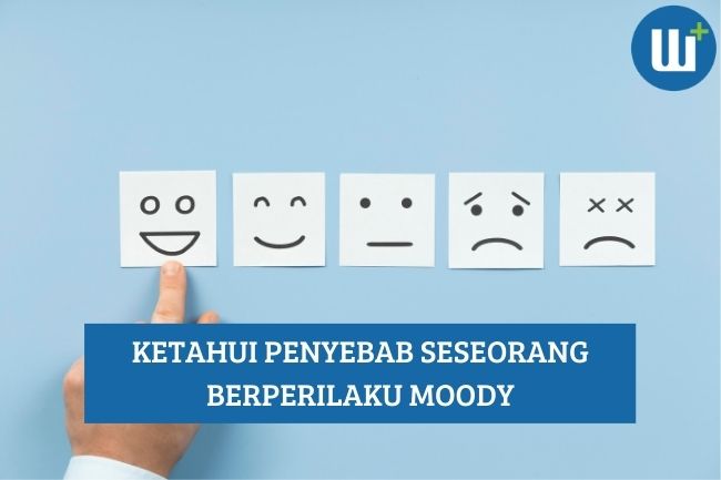 Ketahui Penyebab Seseorang Berperilaku Moody