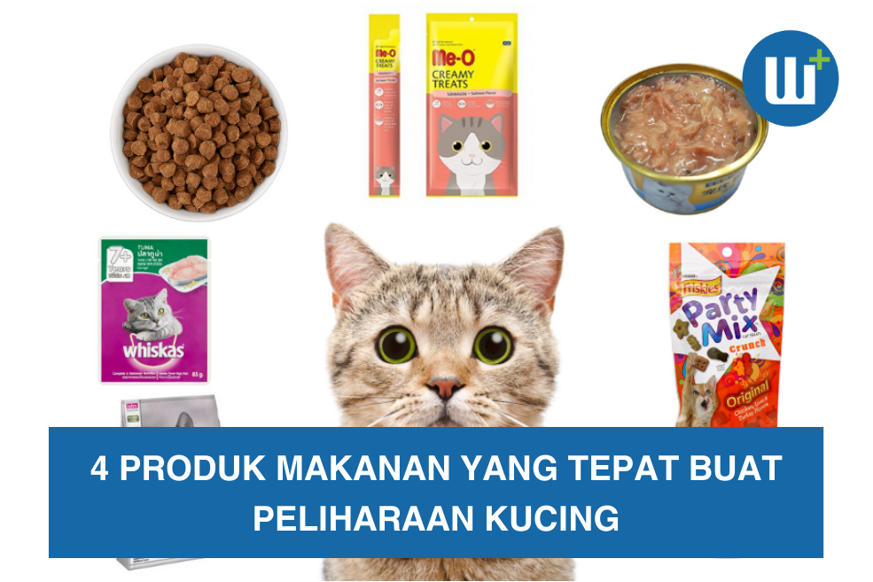 4 Produk Makanan yang Tepat Buat Peliharaan Kucing