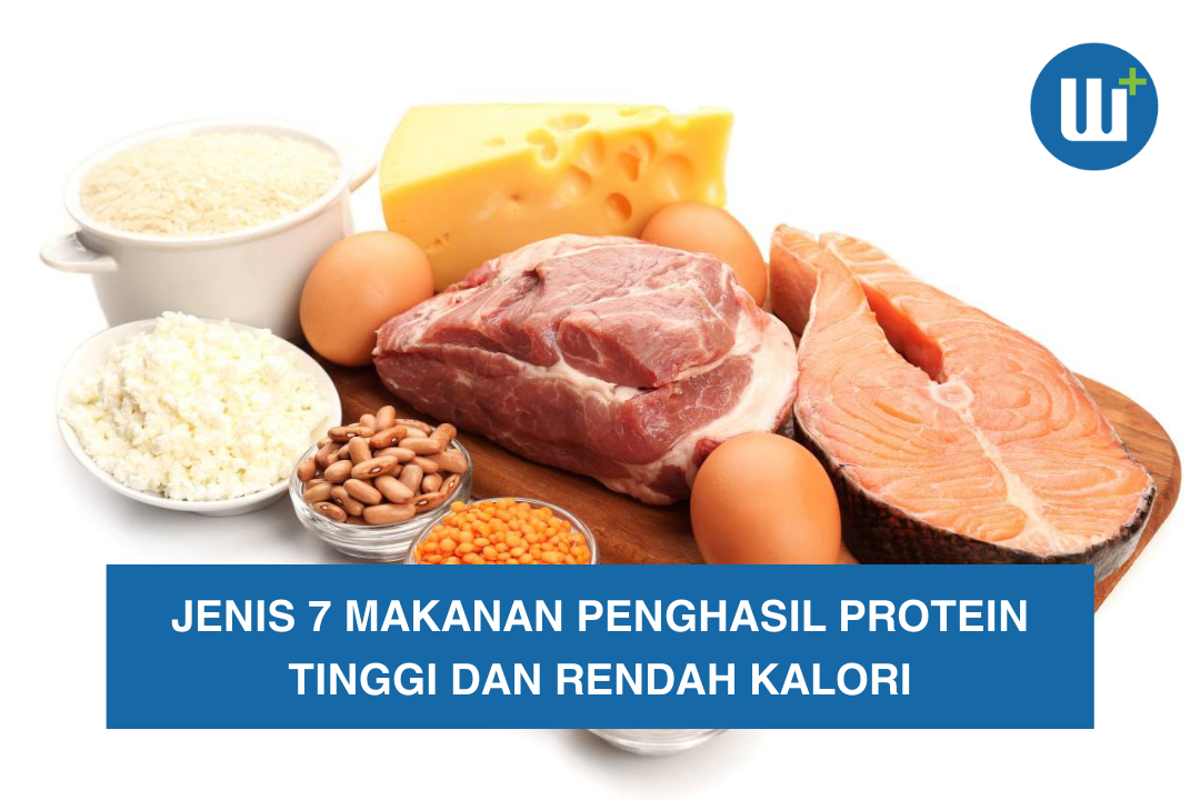 Jenis 7 Makanan Penghasil Protein Tinggi dan Rendah Kalori