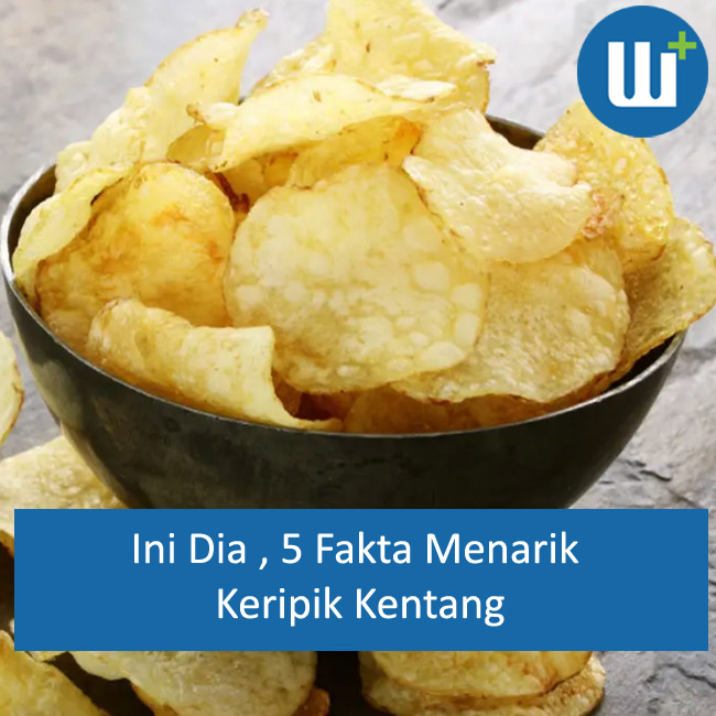 Ini Dia ! 5 Fakta Menarik Keripik Kentang