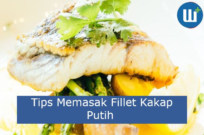 Tips Memasak Fillet Kakap Putih Bisa Untuk Ide Usaha