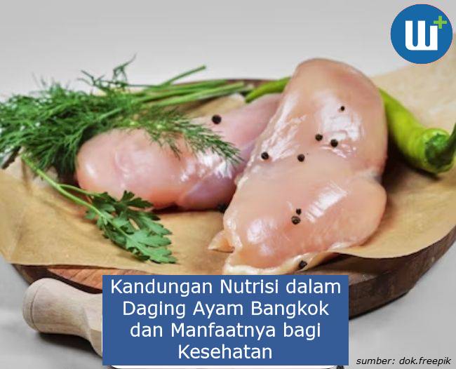 Mengetahui Kandungan Nutrisi dalam Daging Ayam Bangkok dan Manfaatnya bagi Kesehatan