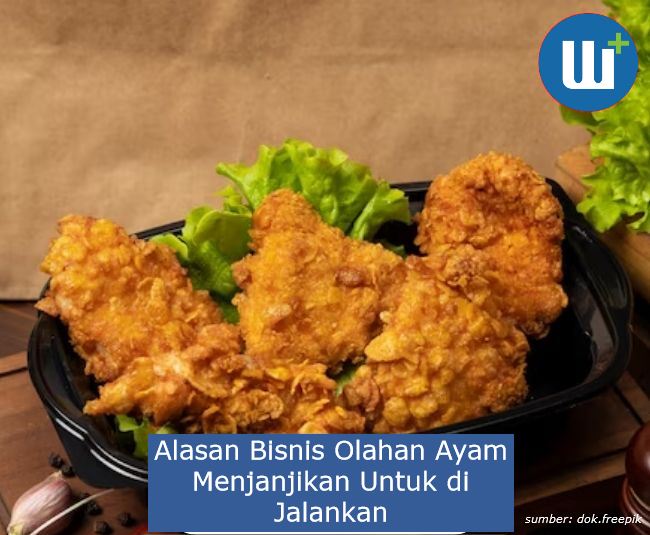 Berikut 5 Alasan Bisnis Olahan Ayam Menjanjikan Untuk di Jalankan