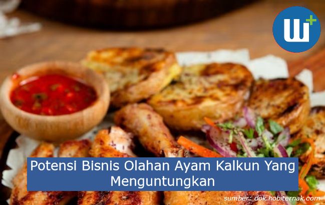 Bongkar Potensi Bisnis Olahan Ayam Kalkun Yang Menguntungkan