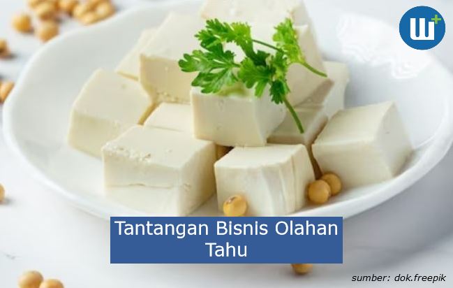 Berikut 9 Tantangan Bisnis Olahan Tahu