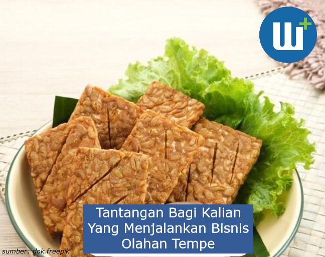 Ini Dia 7 Tantangan Dalam Bisnis Olahan Tempe