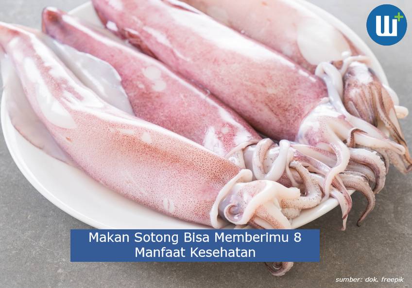 Tahukah Kamu Bahwa Makan Sotong Bisa Memberimu 8 Manfaat Kesehatan Ini