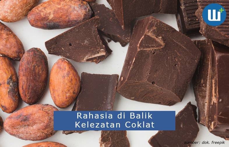 Proses Pembuatan Dan Rahasia di Balik Kelezatan Coklat