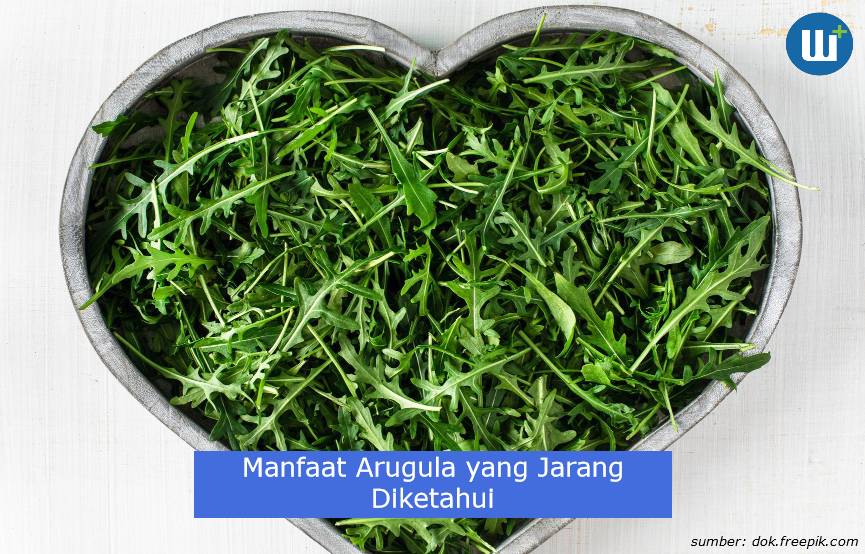 Berikut Segudang Manfaat Arugula yang Jarang Diketahui