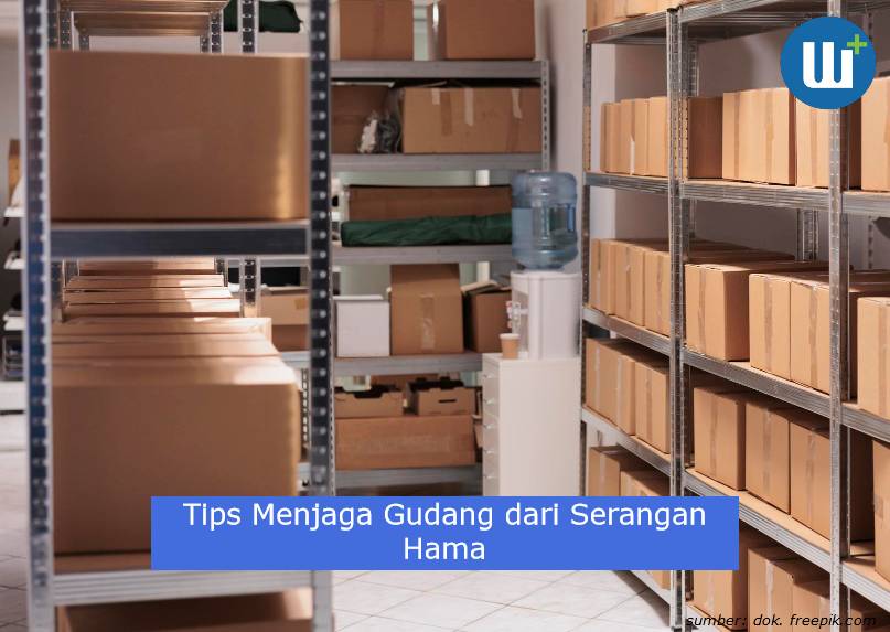 Berikut 4 Tips Menjaga Gudang dari Serangan Hama