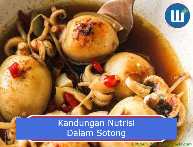 Perlu Kamu Tahu Ada 7 Jenis Nutrisi Yang Ada Dalam Sotong