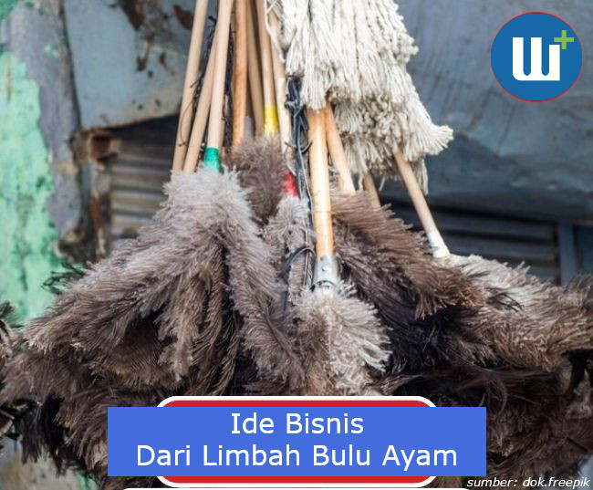 Ide Pemanfaatan Limbah Bulu Ayam Menjadi Peluang Bisnis