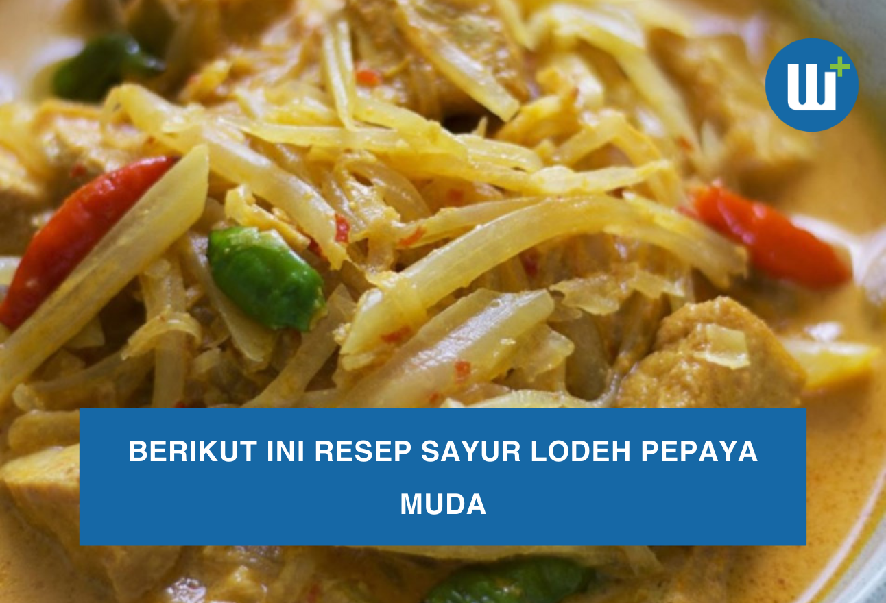 Berikut ini Resep Sayur Lodeh Pepaya Muda